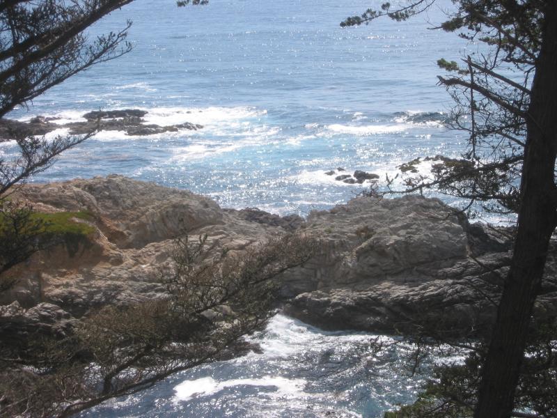 2004/06 June/Monterey Big Sur/800x600_IMG_0876.JPG